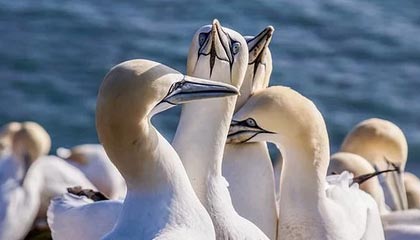 有12台机器支持数字货币交易，其中包括BTC、ETH和LTC