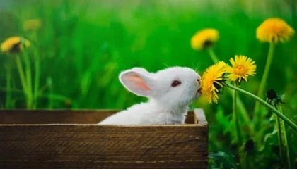 为什么在股市中听到的都是传奇，发生在自己身上的都是事故？