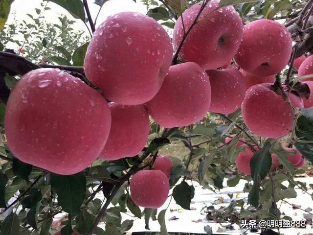 散户在一只股上长期做T可以将成本做到0以下吗<strong></p>
<p>币安交易期货</strong>？