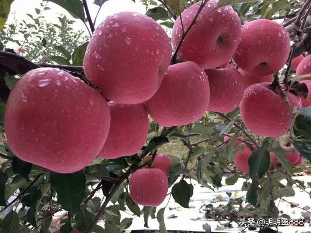 200万现金如何变成月收入2万<strong></p>
<p>币安交易杠杆</strong>？