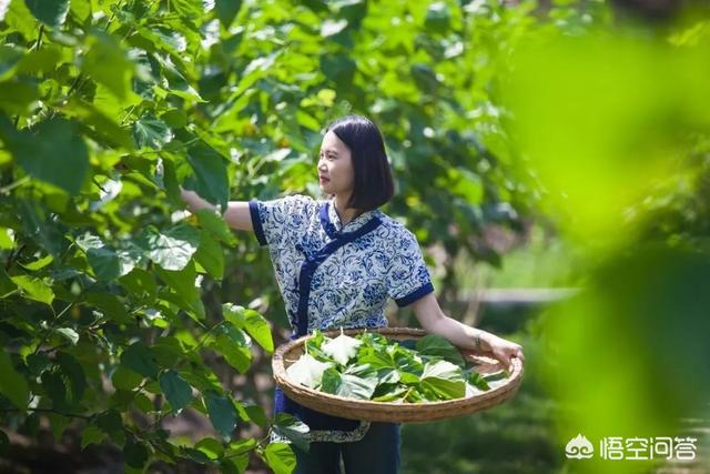 去苏州旅游<strong></p>
<p>乐币网</strong>，有哪些适合孩子去的地方？