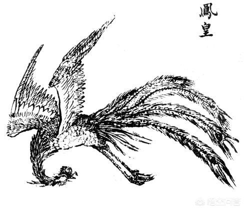 凤凰究竟是个传说<strong></p>
<p>凤凰全球</strong>，还是真实存在过的物种？