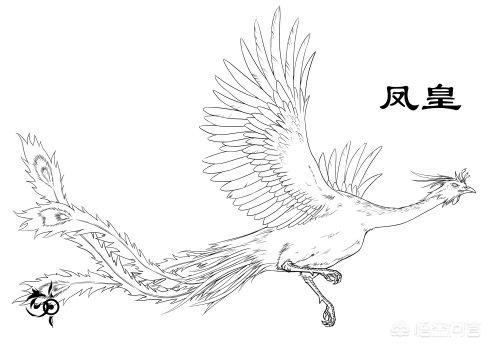 凤凰究竟是个传说<strong></p>
<p>凤凰全球</strong>，还是真实存在过的物种？