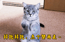《绝地求生》FGS<strong></p>
<p>Liquid</strong>，Liquid认怂，17吃鸡并宣布P城主权，OMG倒数第一出局，你有何看法？