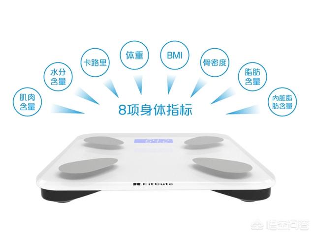 体脂率怎么计算<strong></p>
<p>BMEX</strong>？