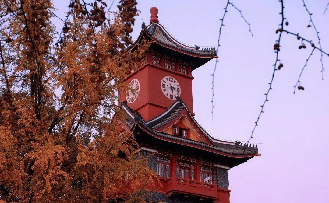 川大理财(川大财务处)