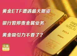 维翰贵金属(维翰什么意思)