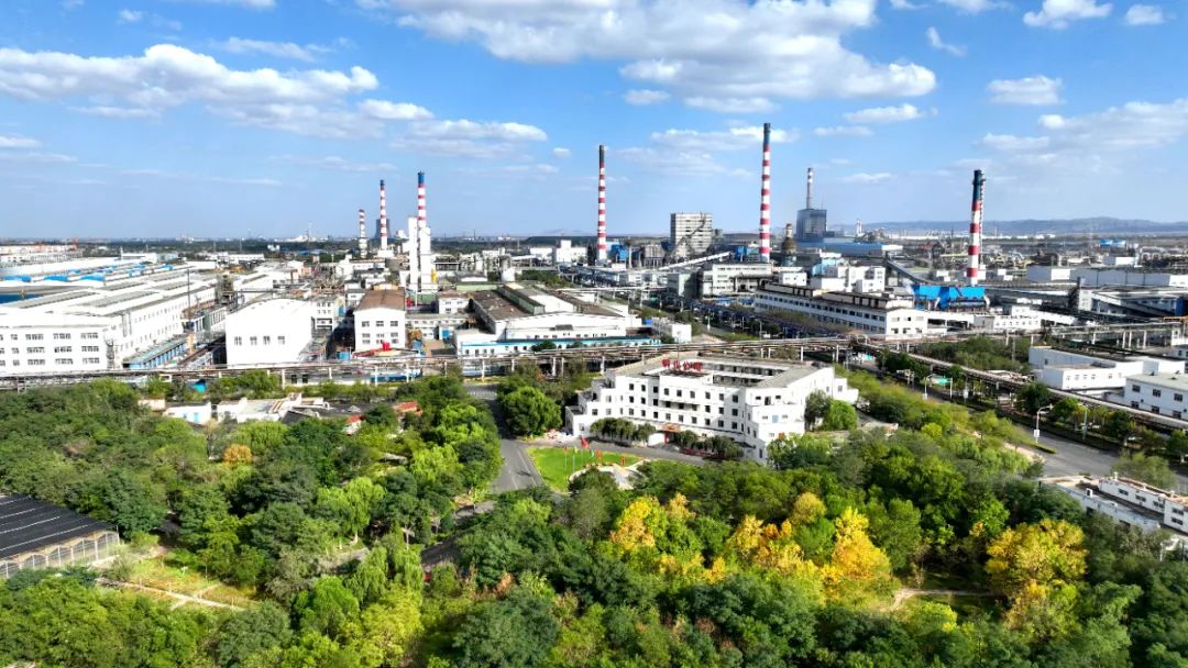 金川贵金属(金川贵金属工人名单查询)