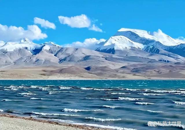 西藏(西藏推出社保卡同号换卡服务)