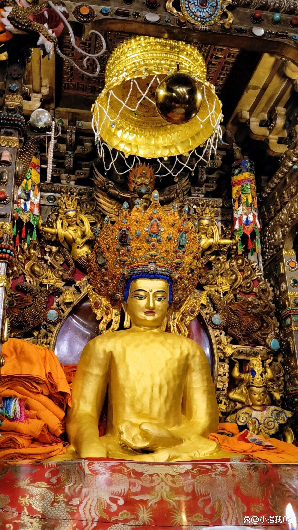 西藏(西藏推出社保卡同号换卡服务)