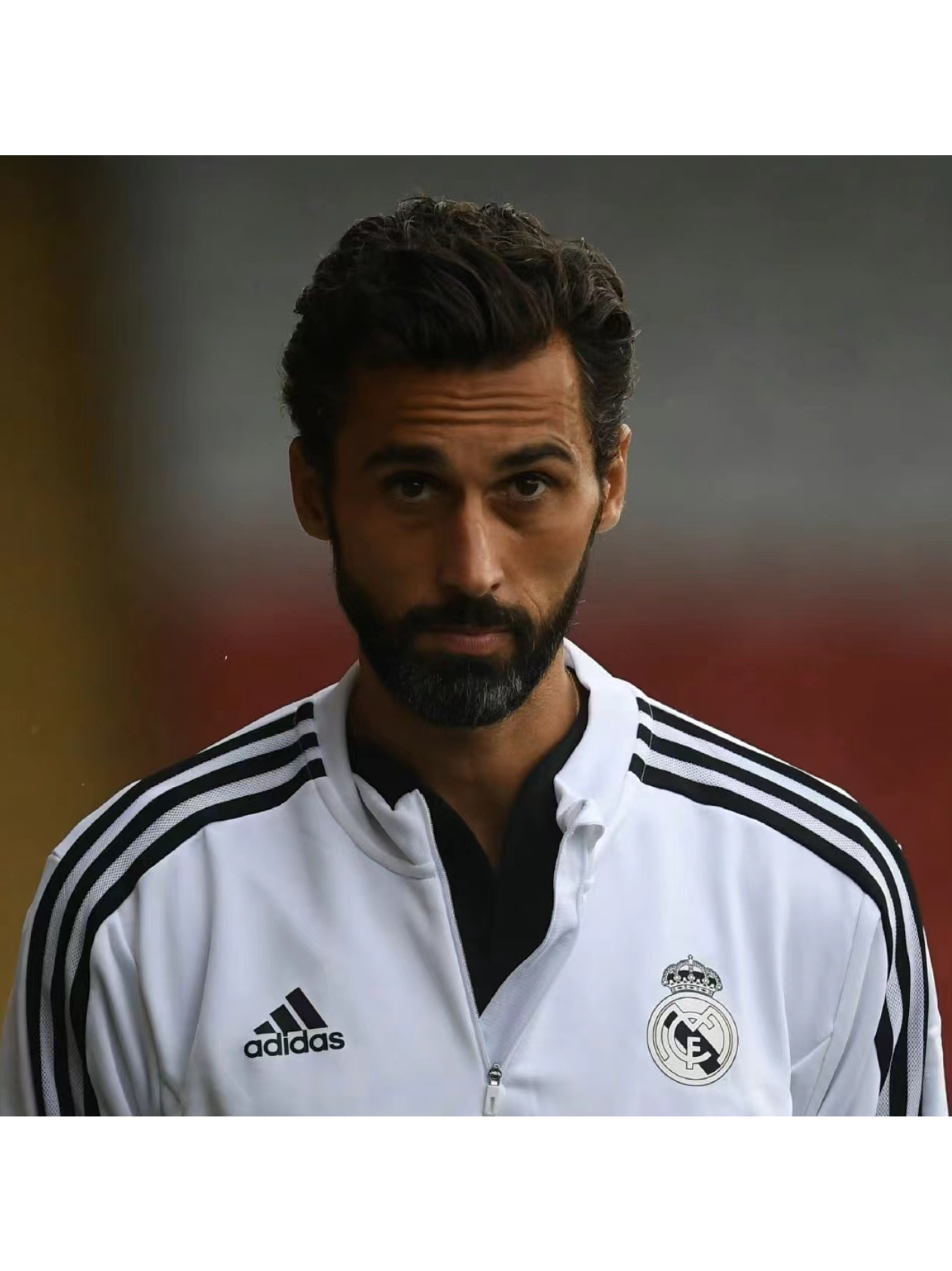 algo(algo什么意思) algo(algo什么意思)