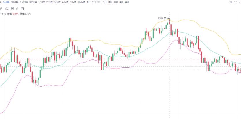 BCH(b超和彩超有什么区别)