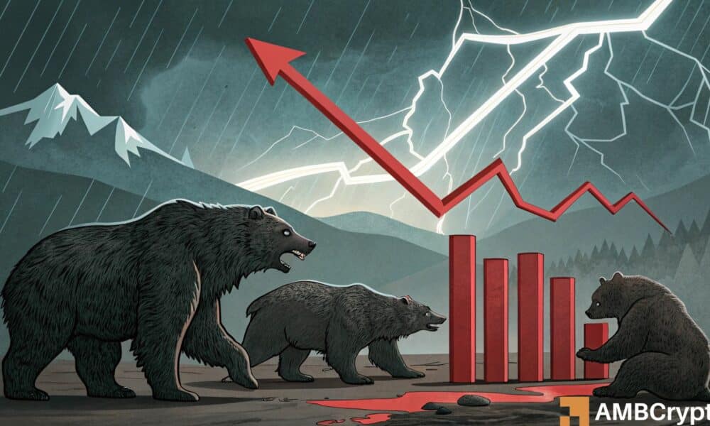 xlm币(XLM币的潜力有多大)