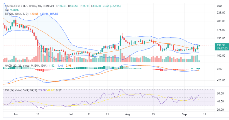 BCH(b超多久可以查出怀孕)