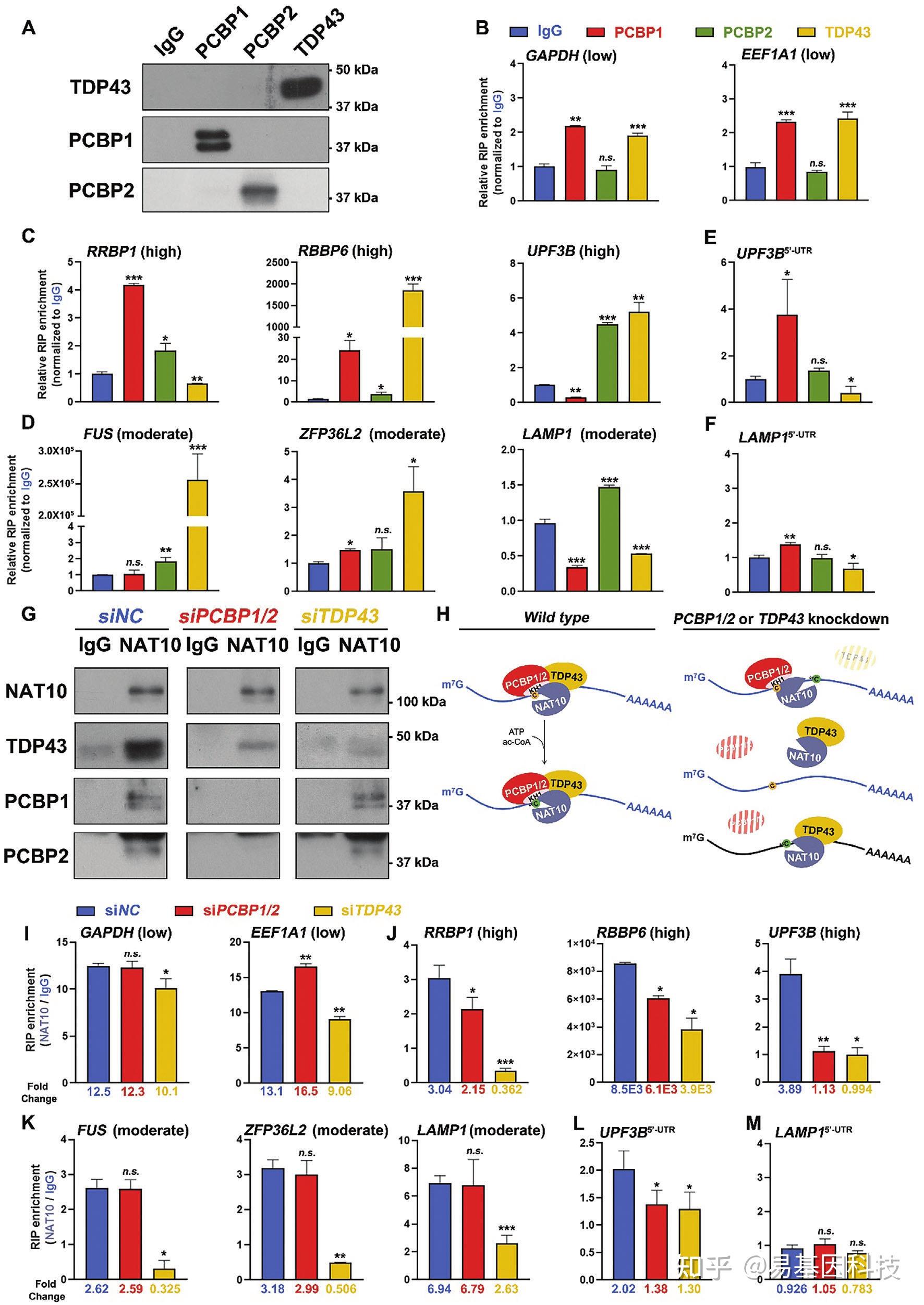 hbar(恨比爱容易放下)