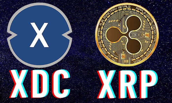 xrp(虾仁配什么菜炒最好)