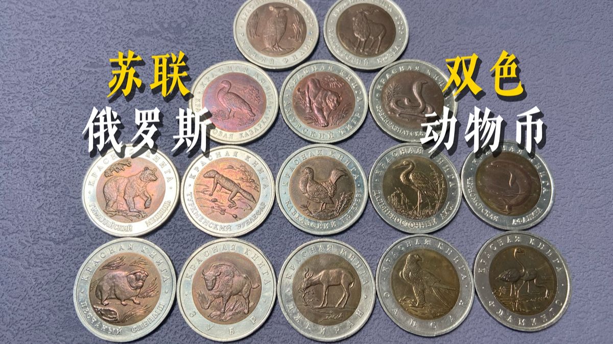 苏联货币(苏联货币兑换美元)